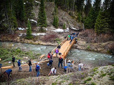 group building bridge in forest